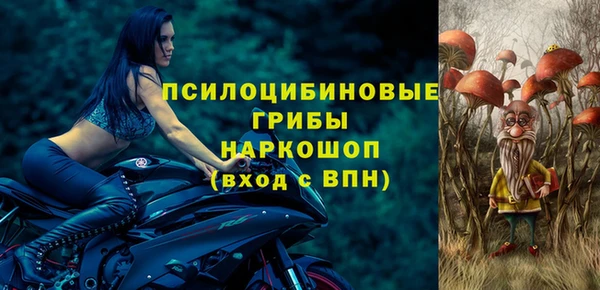 дмт Алексин