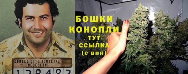 трава Абаза