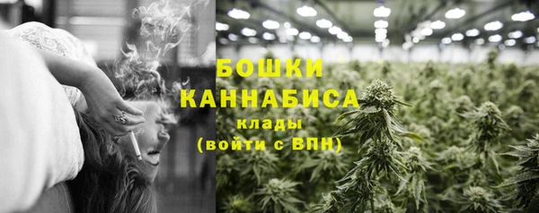 трава Абаза
