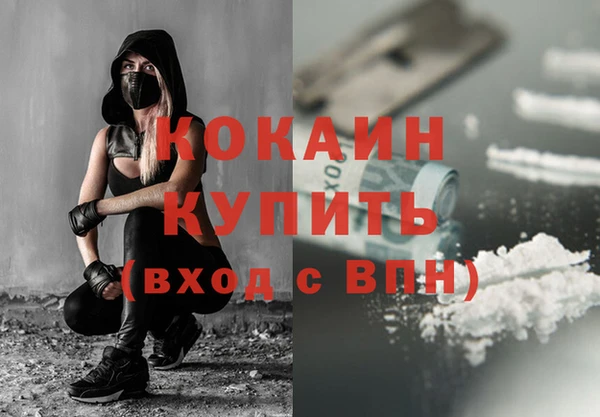 прущие грибы Нефтекумск