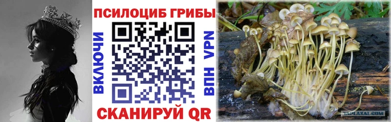 Галлюциногенные грибы прущие грибы  Рославль 